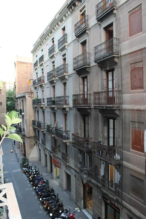 Hostal Dragonflybcn Barcelona Guest house