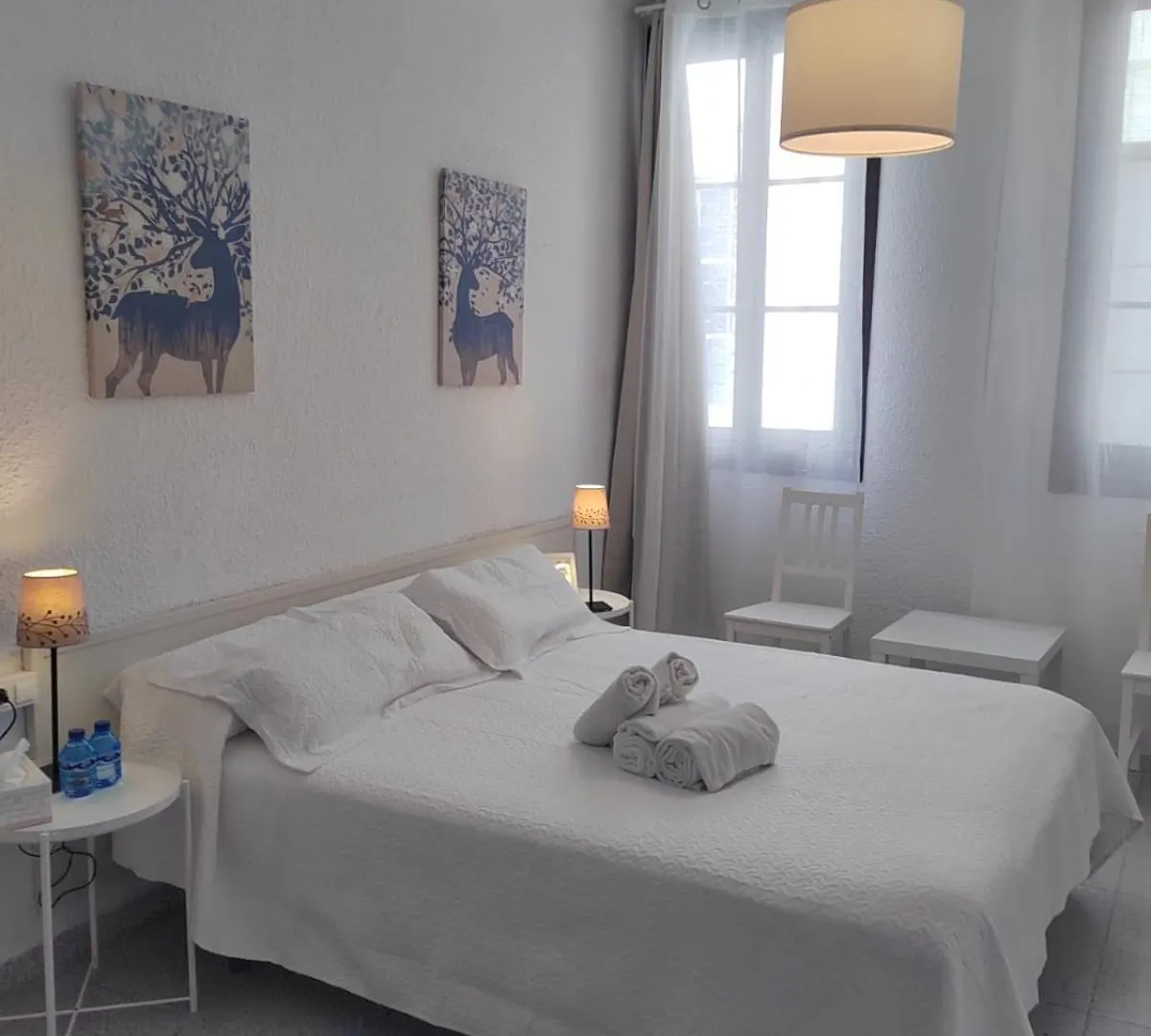 Hostal Dragonflybcn Barcelona Guest house